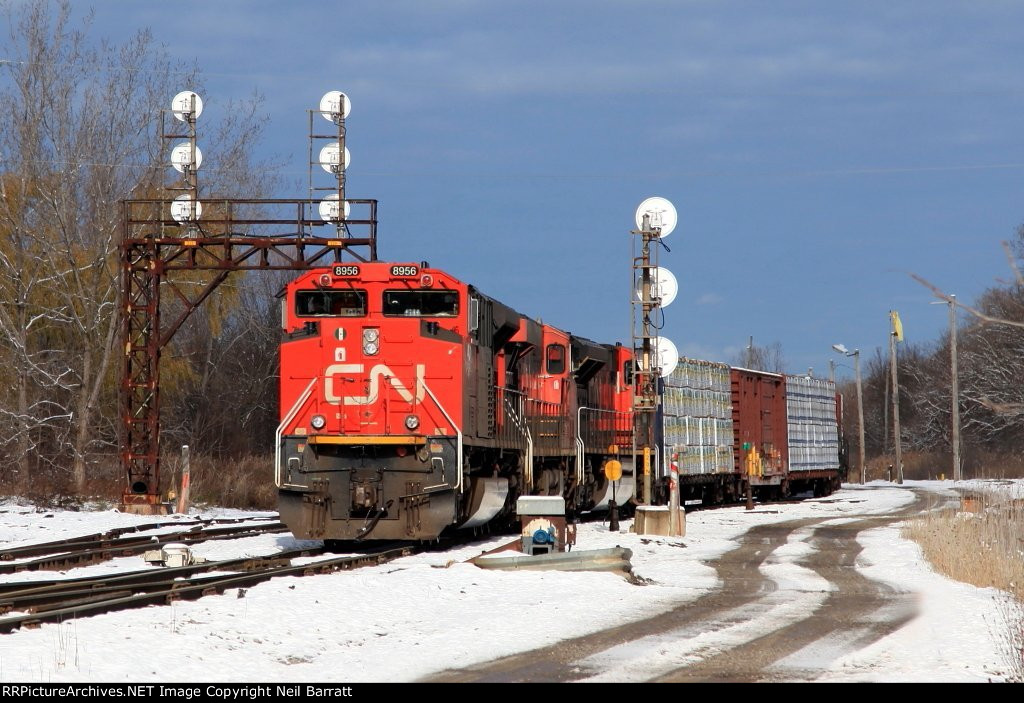 CN 8956